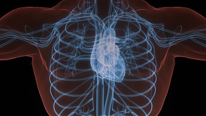 ReachMD Healthcare Image