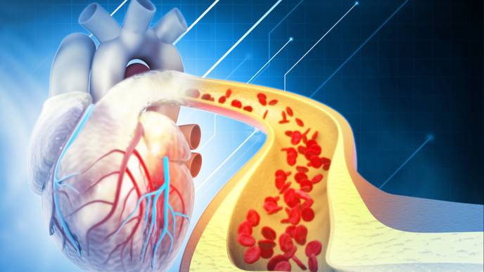 ReachMD Healthcare Image