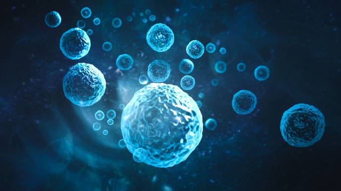 ReachMD Healthcare Image