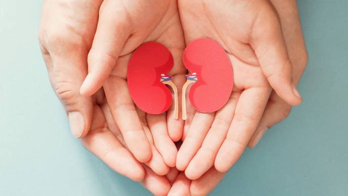 ReachMD Healthcare Image