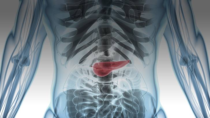 ReachMD Healthcare Image