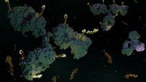 ReachMD Healthcare Image