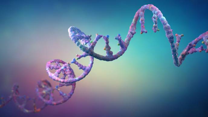 ReachMD Healthcare Image