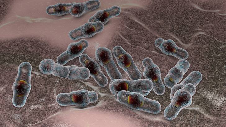 ReachMD Healthcare Image