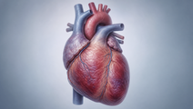 xxb750 phase 2 trial in heart failure shows harm signal