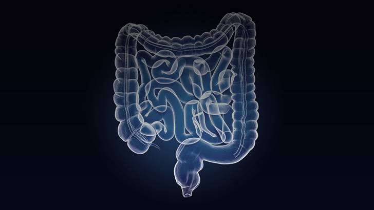 ReachMD Healthcare Image