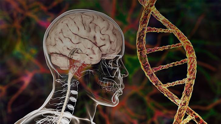 ReachMD Healthcare Image