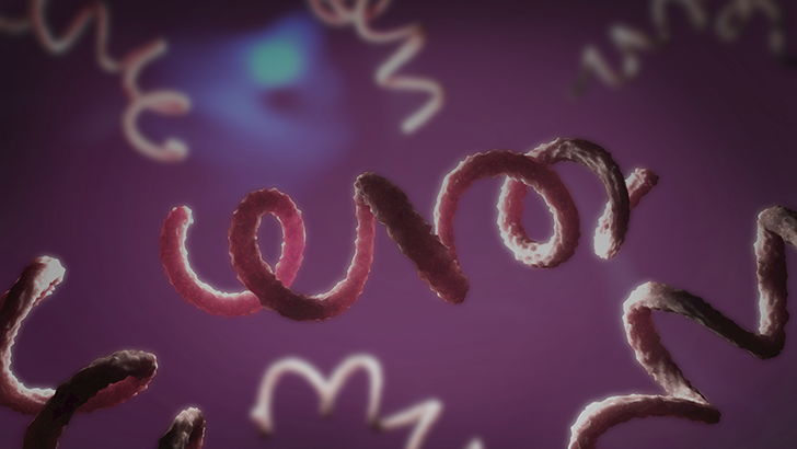 ReachMD Healthcare Image