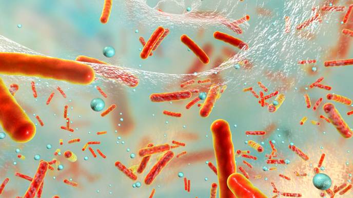 ReachMD Healthcare Image