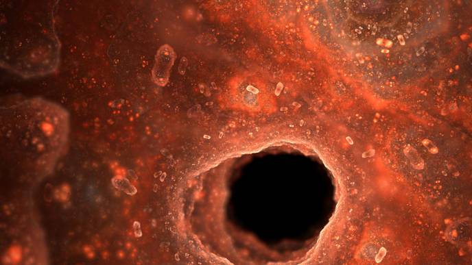 ReachMD Healthcare Image