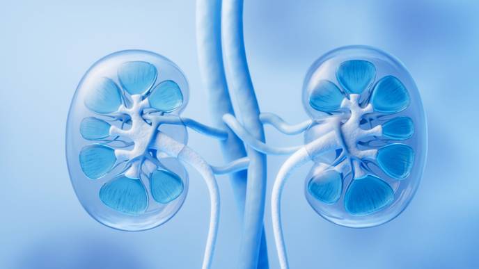 ReachMD Healthcare Image