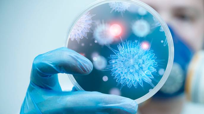 ReachMD Healthcare Image