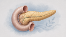 robotic versus open pancreatoduodenectomy in the portal trial