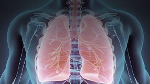 Results of an Expert Delphi Consensus Survey on Clinical Scenarios Considered When Initiating Oral Prostacyclin Pathway Agents for Pulmonary Arterial Hypertension