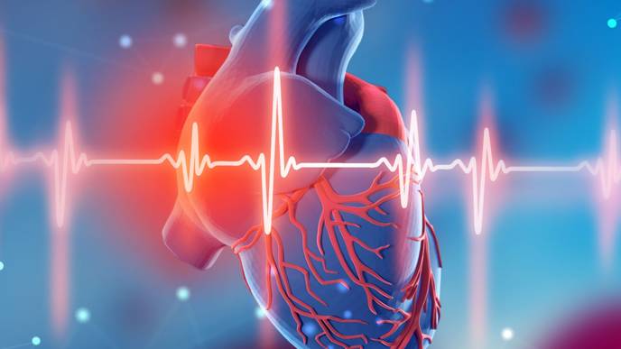 ReachMD Healthcare Image