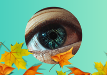 Weekly Wear for a Seasonal Shift