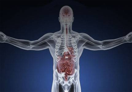 ReachMD Healthcare Image