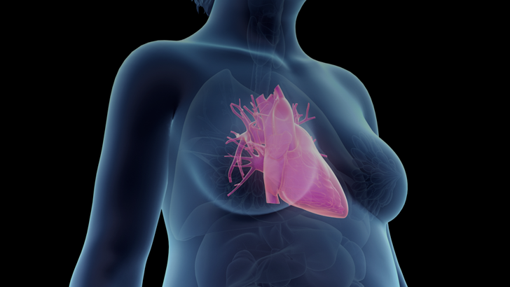 ReachMD Healthcare Image