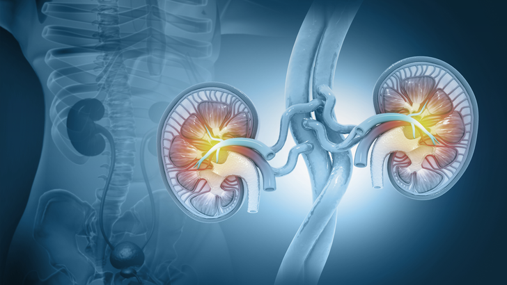 ReachMD Healthcare Image