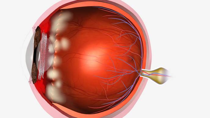 ReachMD Healthcare Image