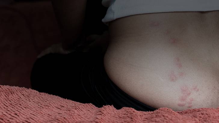 ReachMD Healthcare Image