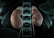 No Patient Left Behind! Advancing CKD-Associated Pruritus Care