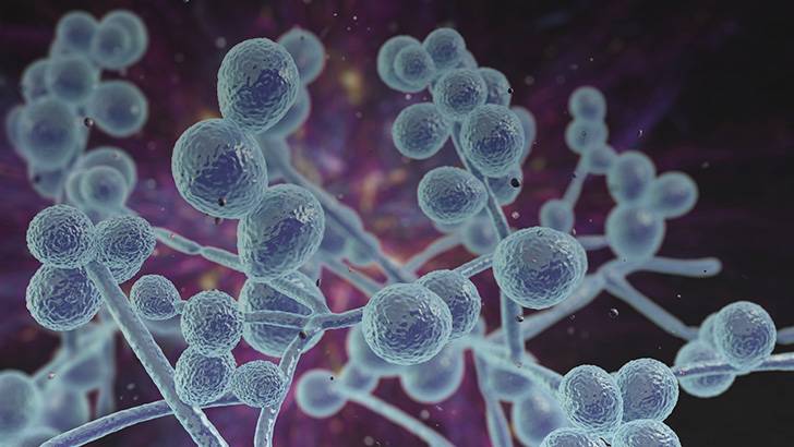 ReachMD Healthcare Image