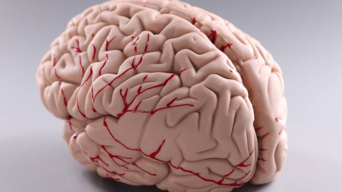 ReachMD Healthcare Image