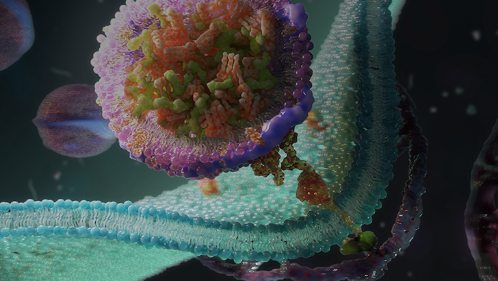 ReachMD Healthcare Image