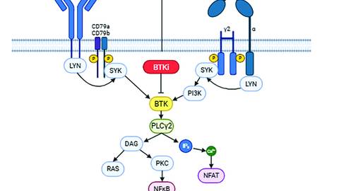 Fox and Graham Figure 1