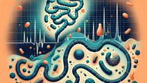 gut microbiome links to dyslipidemia taxa pathways and translational notes