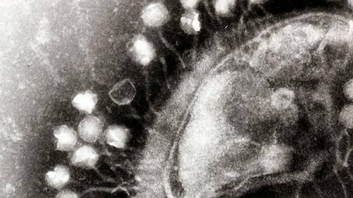 ReachMD Healthcare Image