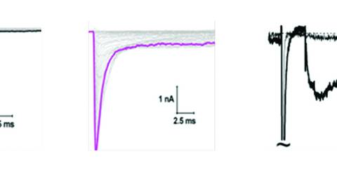 Figure 1 from PN1125CF1Sankar