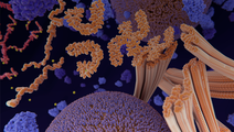 ReachMD Healthcare Image