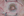 Figure 3. At the end of uneventful surgery, the pupil was round, regular, and well centered.