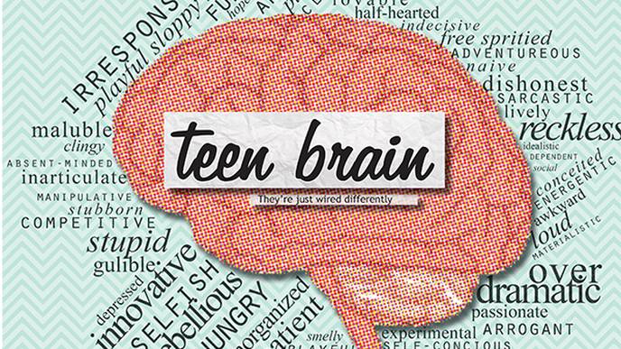The Purpose Of Teenage Brain >> The Impulsive Teen Brain Isn T Based In Science Be Part Of The The Purpose Of Teenage Brain >> The Impulsive Teen Brain Isn T Based In Science Be Part Of The