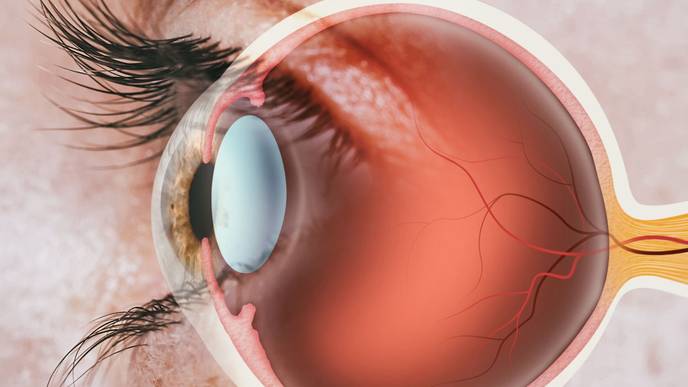 ReachMD Healthcare Image