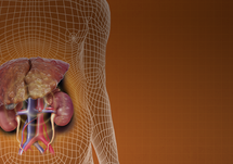 Preparing the Patient with Decompensated Cirrhosis for Liver Transplant: ICU Discussions, Considerations and Dialysis