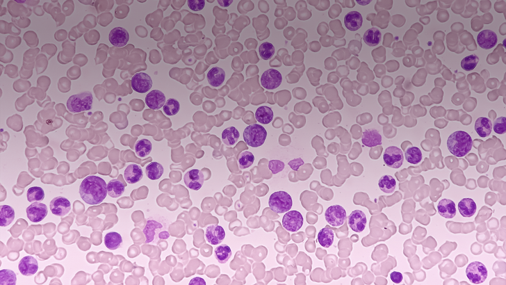 ReachMD Healthcare Image