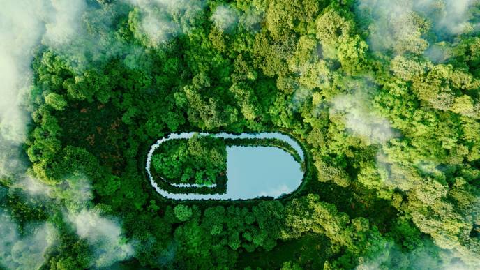 ReachMD Healthcare Image