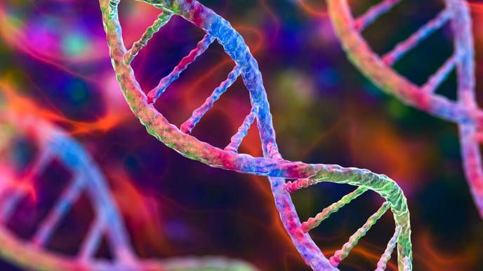 ReachMD Healthcare Image