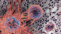 ReachMD Healthcare Image