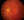 2227-2-supp-Art2Fig1