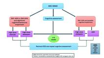 Rao et al Figure from November 2025 issue