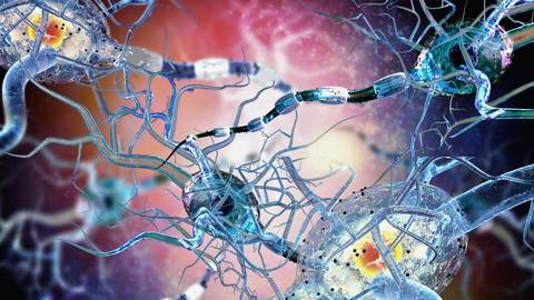 Using Nerve Blocks to Avoid Pain and Narcotics for Rhinoplasty