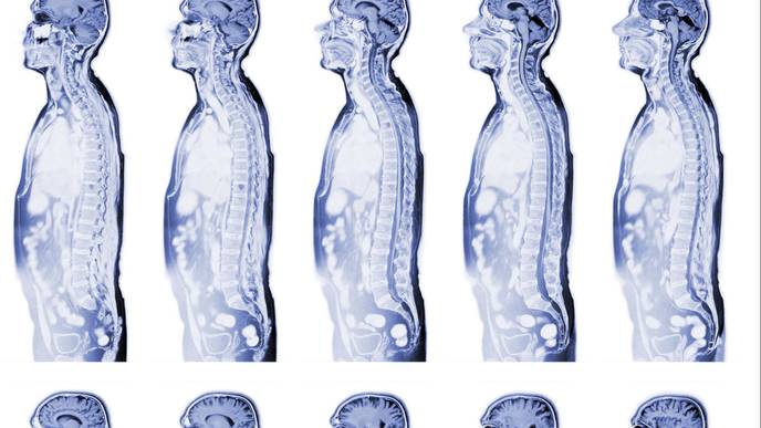 ReachMD Healthcare Image