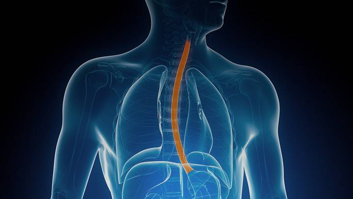 ReachMD Healthcare Image