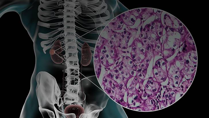 ReachMD Healthcare Image