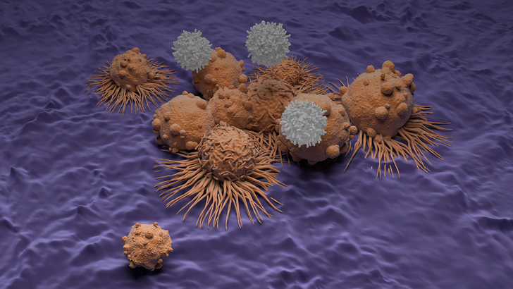 ReachMD Healthcare Image