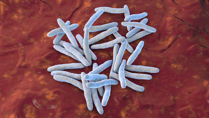 ReachMD Healthcare Image